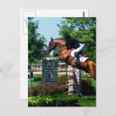 Briefkaarten van Grand Prix Horse (Voorkant / Achterkant)