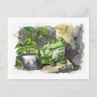 Briefkaarten van groene kikkervisjes
