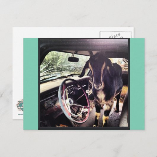 Briefkaarten van het Goat Power Team (Voorkant / Achterkant)