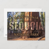 Briefkaarten van het nationale park Sequoia (Voorkant / Achterkant)