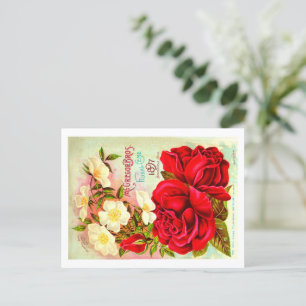 Briefkaarten van het zaadpakket.