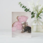 briefkaarten van kitten en teddybeer (Staand voorkant)