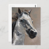 Briefkaarten van paarden (Voorkant / Achterkant)