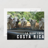 Briefkaarten van Paradise Vacation Foto Briefkaart (Voorkant / Achterkant)