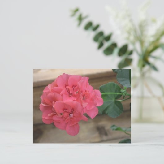 Briefkaarten van roze Geraniums (Staand voorkant)