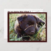 Briefkaarten verbergen en zoeken (Voorkant / Achterkant)