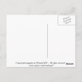 Briefkaarten voor bloemen (Achterkant)