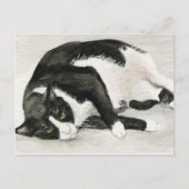 briefkaarten voor "Comfortable Tuxedo Cat" (Voorkant)