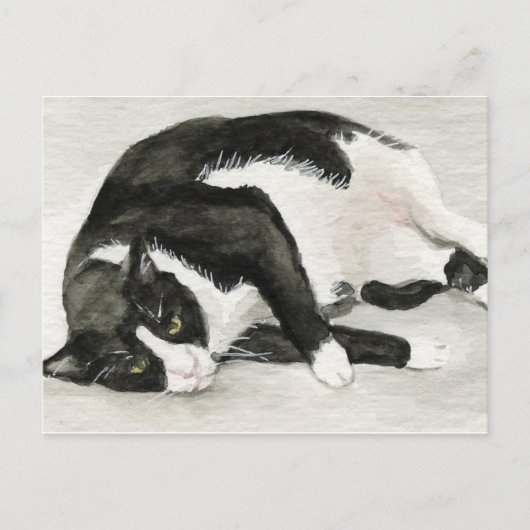 briefkaarten voor "Comfortable Tuxedo Cat" (Voorkant)