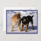 Briefkaarten voor puppy play (Voorkant / Achterkant)