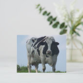 BRIEFKAARTEN VOOR VERMONT DAIRY KOE (Staand voorkant)