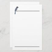 Briefpapier - Blue Jay (Voorkant / Achterkant)