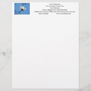 Briefpapier op maat Blauwe Lucht Witte Magnolia Bl Briefhoofd Sjabloon