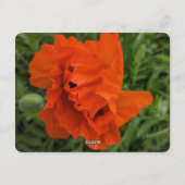 Bright and Cheerful Invitation (Dos)