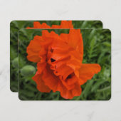 Bright and Cheerful Invitation (Devant / Derrière)