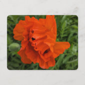 Bright and Cheerful Invitation Kaart (Voorkant)