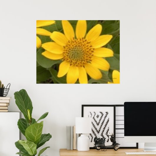 Bright Balsam Root Poster (Thuiskantoor)