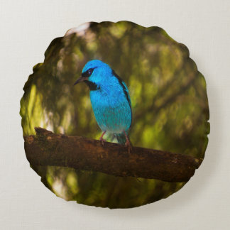Bright Blauwe Bird Rond Kussen