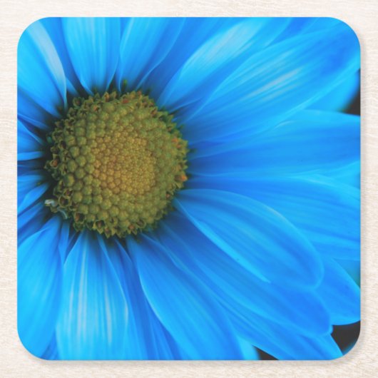 Bright Blue Daisy Vierkante Kartonnen Onderzetter (Voorkant)