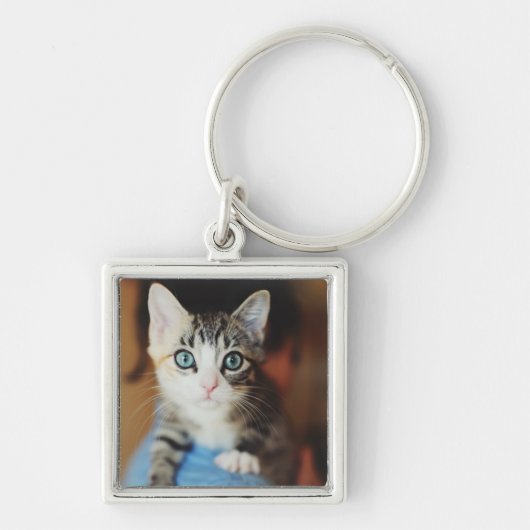 Bright Blue Eyed Kitten Sleutelhanger (Voorkant)