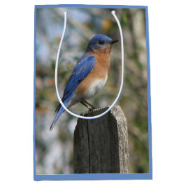 Bright Bluebird Male Medium Cadeauzakje
