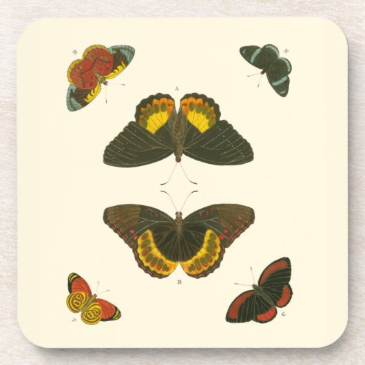 Bright Butterflies van Pieter Cramer Bier Onderzetter (Voorkant)