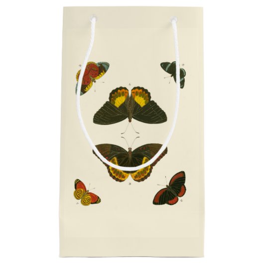 Bright Butterflies van Pieter Cramer Klein Cadeauzakje (Voorkant)