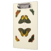 Bright Butterflies van Pieter Cramer Klembord (Links)