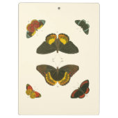 Bright Butterflies van Pieter Cramer Klembord (Achterkant)