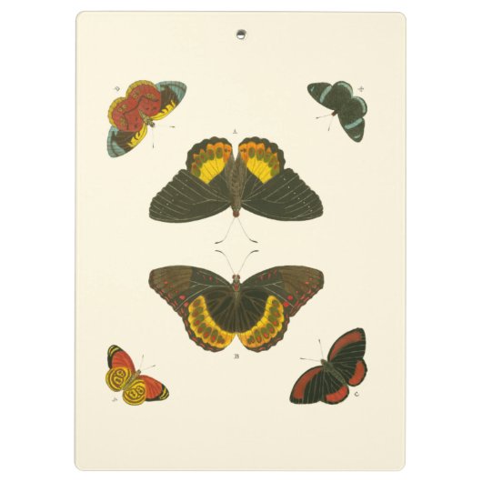 Bright Butterflies van Pieter Cramer Klembord (Achterkant)