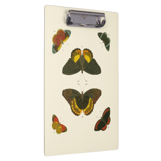 Bright Butterflies van Pieter Cramer Klembord (Rechts)