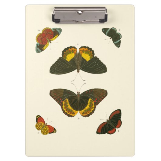 Bright Butterflies van Pieter Cramer Klembord (Voorkant)
