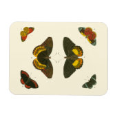 Bright Butterflies van Pieter Cramer Magneet (Horizontaal)