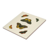 Bright Butterflies van Pieter Cramer Tegeltje (Zijkant)