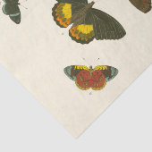 Bright Butterflies van Pieter Cramer Tissuepapier (Detail)