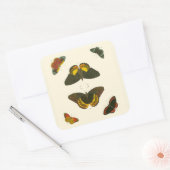 Bright Butterflies van Pieter Cramer Vierkante Sticker (Envelop)