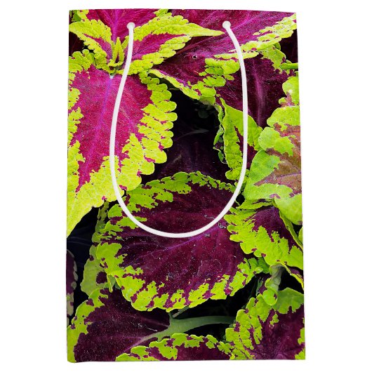 Bright Coleus Leaf Design Medium Cadeauzakje (Voorkant)
