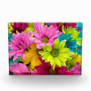 BRIGHT COLORFUL FLOWERS FOTOBLOKKEN