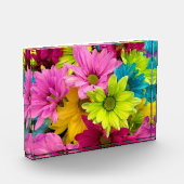 BRIGHT COLORFUL FLOWERS FOTOBLOKKEN (Links)