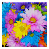Bright Daisy Flower Mix Perfect Poster (Devant)