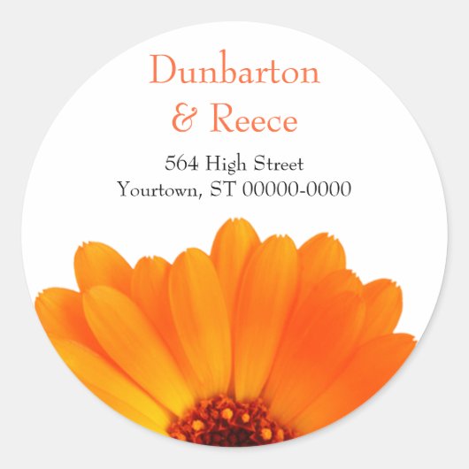 Bright Daisy Stickers (Voorkant)