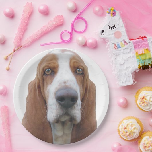 Bright Eyes Basset Hond Papieren Bordje (Feest)