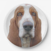 Bright Eyes Basset Hond Papieren Bordje (Voorkant)