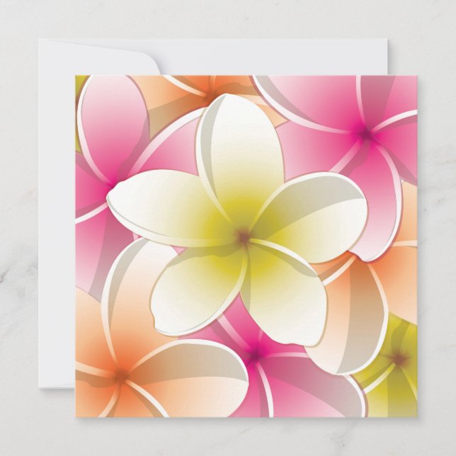 Bright Frangipani/Plumeria bloemen (Voorkant)
