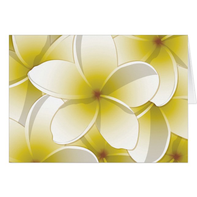 Bright Frangipani/Plumeria bloemen (Voorkant Horizontaal)