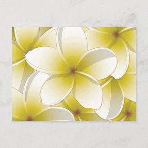 Bright Frangipani/Plumeria bloemen Briefkaart