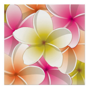 Bright Frangipani/Plumeria bloemen Perfect Poster