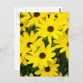 Bright gele bloemen briefkaart (Voorkant / Achterkant)