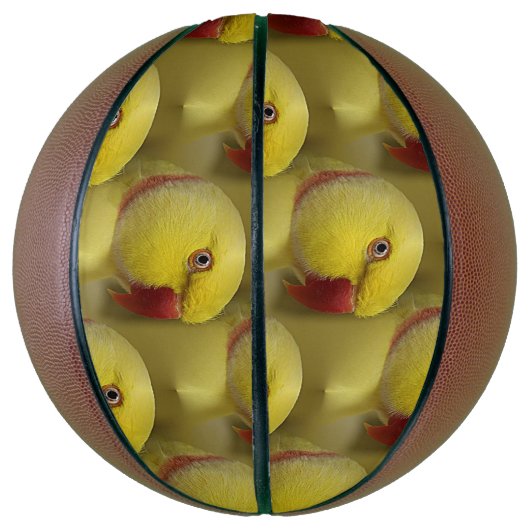 Bright Gele Lutino Indische ringnek Parrot Basketbal (Verticaal)
