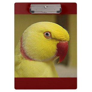Bright Gele Lutino Indische ringnek Parrot Klembord